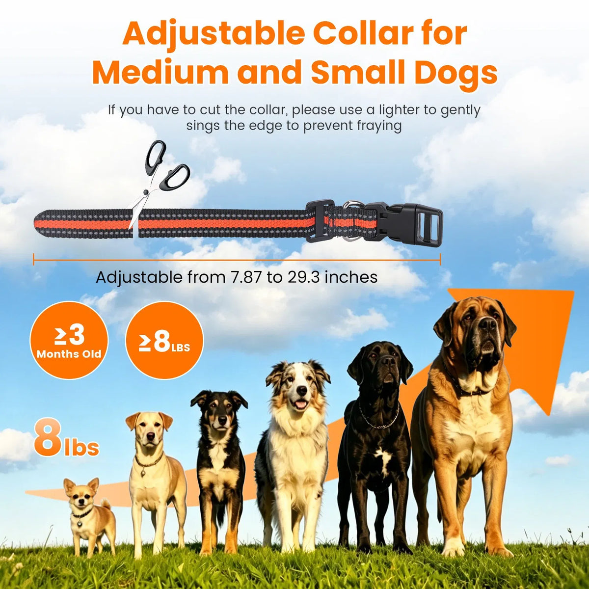 2-in-1 Invisible Dog Fence &amp; Training Collar – 722 ft Range, 18 Levels, IP68 – view 7