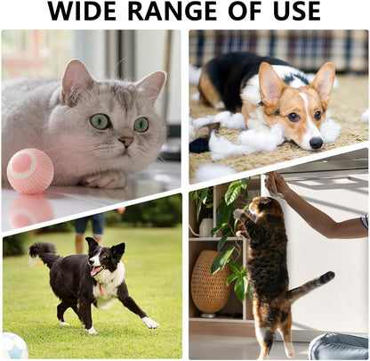 Motion-Activated Rolling Ball Toy for Cats &amp; Dogs – Rechargeable with LED Lights, 2 Modes – view 3