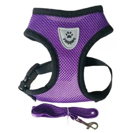 Breathable Sandwich Mesh Dog Harness, Vest-Style Chest Harness in 7 Colors – view 8