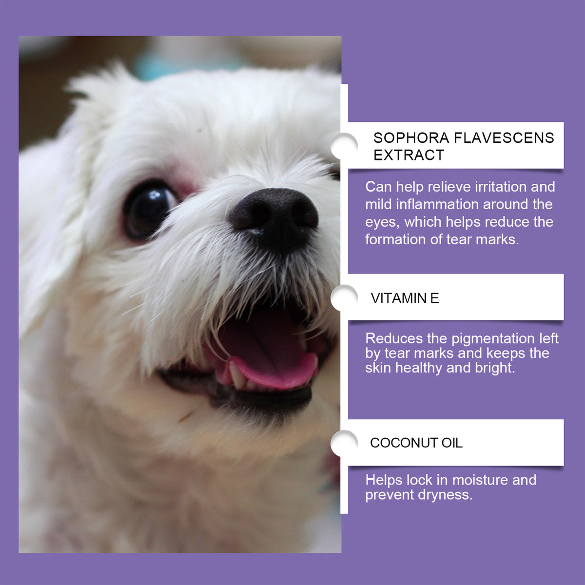 Dog Tear Stain Paste with Honeysuckle &amp; Coconut Oil, 20 g with Cotton Swabs – view 4