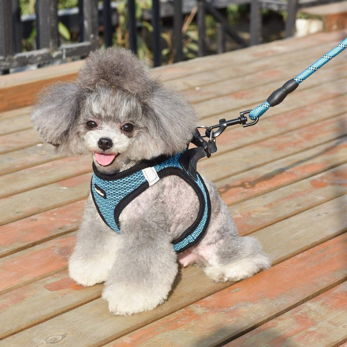 Breathable Air-Mesh Dog Vest Harness &amp; Leash Set – Step-In, for Small Dogs, Puppies &amp; Cats – view 4