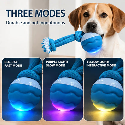Interactive Dog Tug Ball with Spare Ropes for Medium and Large Dogs, Indoor and Outdoor Play – view 5