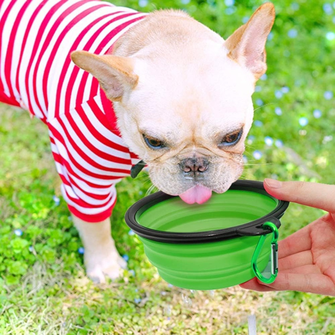 Collapsible Pet Travel Bowls 2-Pack – 12 oz Foldable Dishes with 2 Carabiners – view 5