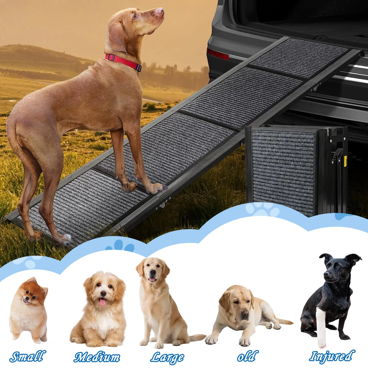 Folding Dog Ramp for Car, SUV &amp; Truck – 71 in Long, 19 in Wide, Non-Slip Surface – view 6