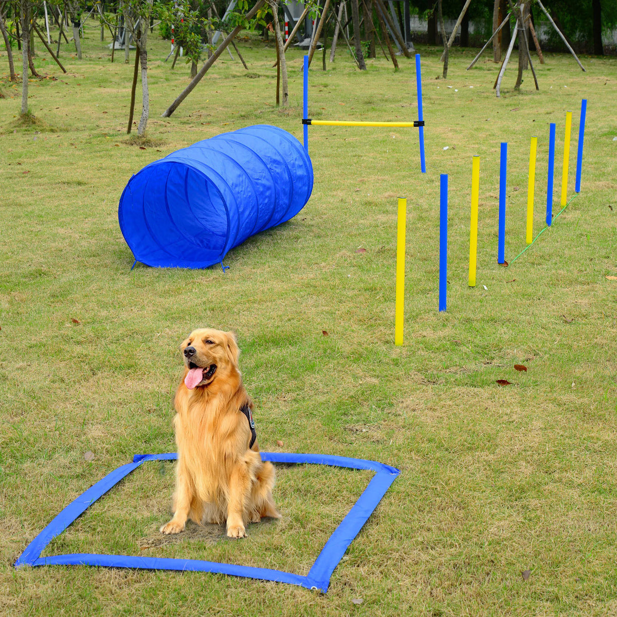 Backyard Dog Agility Training Kit – Tunnel, Weave Poles, High Jump and Pause Box with Carry Bag – view 2