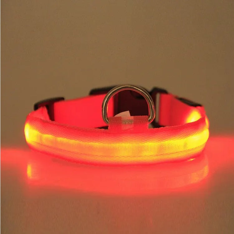 LED Light-Up Dog Collar – Halo Style, Flashing &amp; Steady Modes, S–XL, 5 Colors – view 4