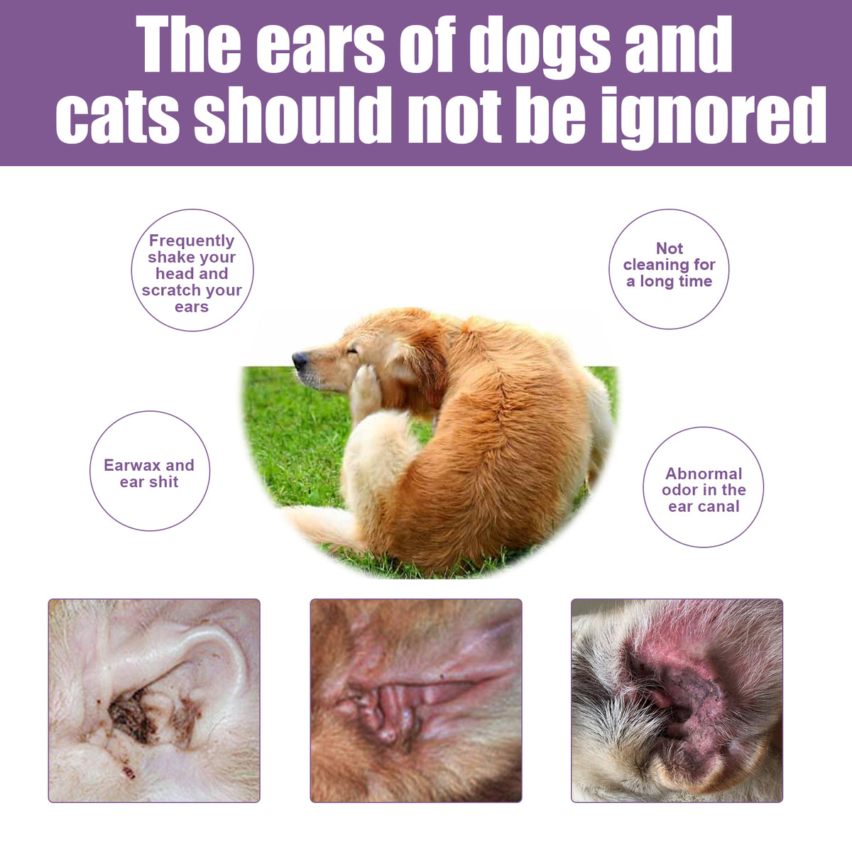 Alcohol-Free Pet Ear Rinse for Dogs and Cats – 4 fl oz (118 ml) with Cotton Swabs – view 6