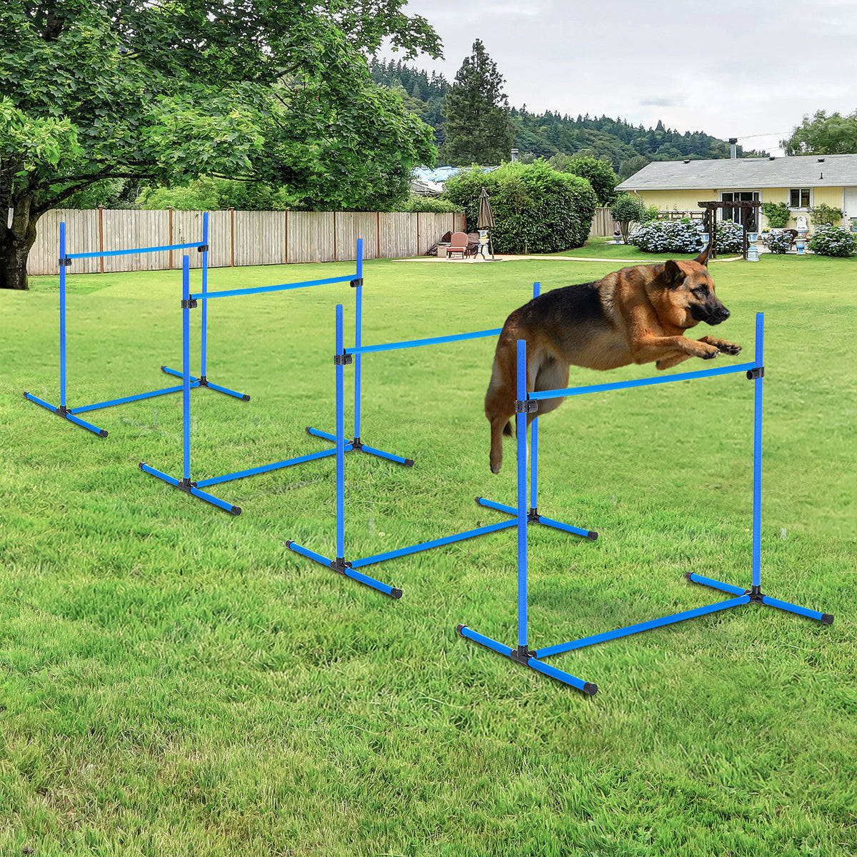 4-Piece Dog Agility Starter Kit – Adjustable Height Jump Bars with Carry Bag, Blue – view 7