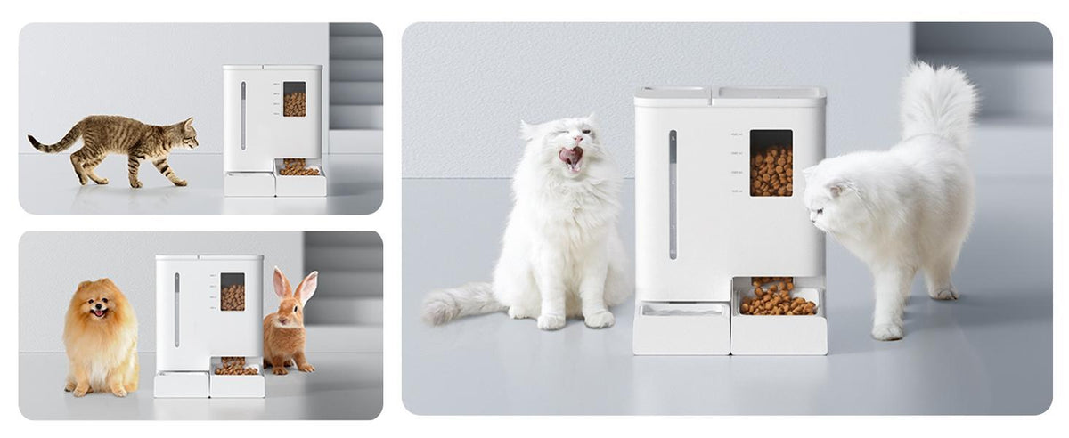 Wi-Fi Automatic Pet Feeder and Water Dispenser 2-in-1 Set – App Controlled, White – view 9