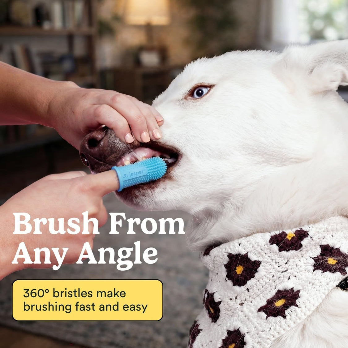 360 Degree Silicone Finger Toothbrush for Dogs and Cats – 2 Pack with Storage Cases, Blue – view 5