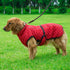 Adjustable Padded Dog Jacket – Warm Cotton Winter Coat