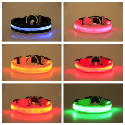 LED Light-Up Dog Collar – Glow-in-the-Dark Night Safety Collar, 6 Colors, Sizes XXS–XL, Rechargeable Options – view 5