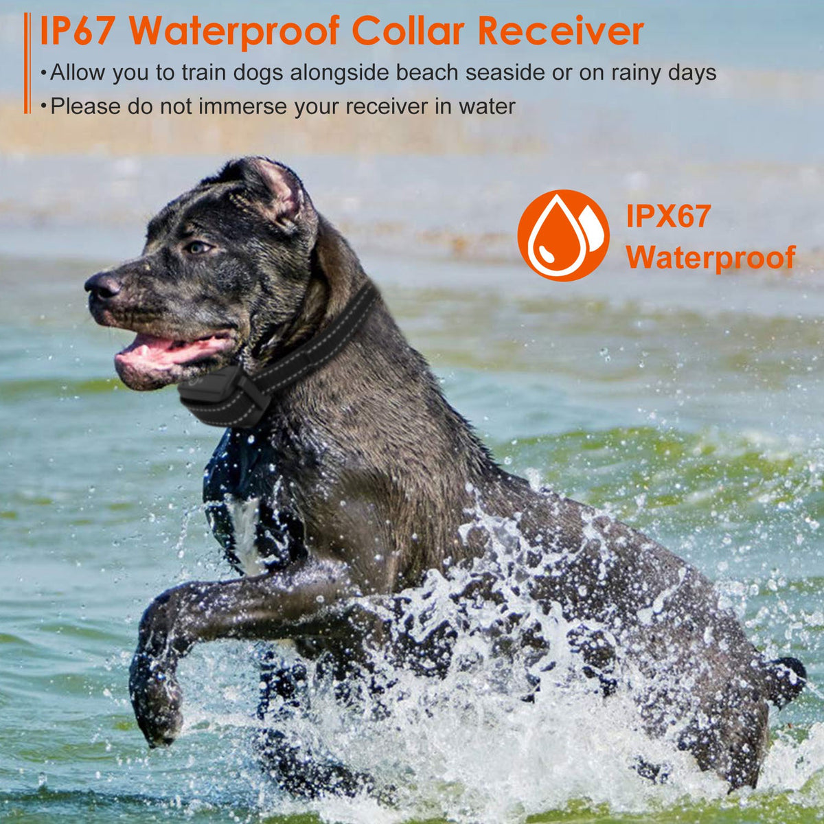 3280 ft Remote Dog Training Collar – Beep, Vibration &amp; Static (1–100), IP67, Set or Receiver Only – view 5