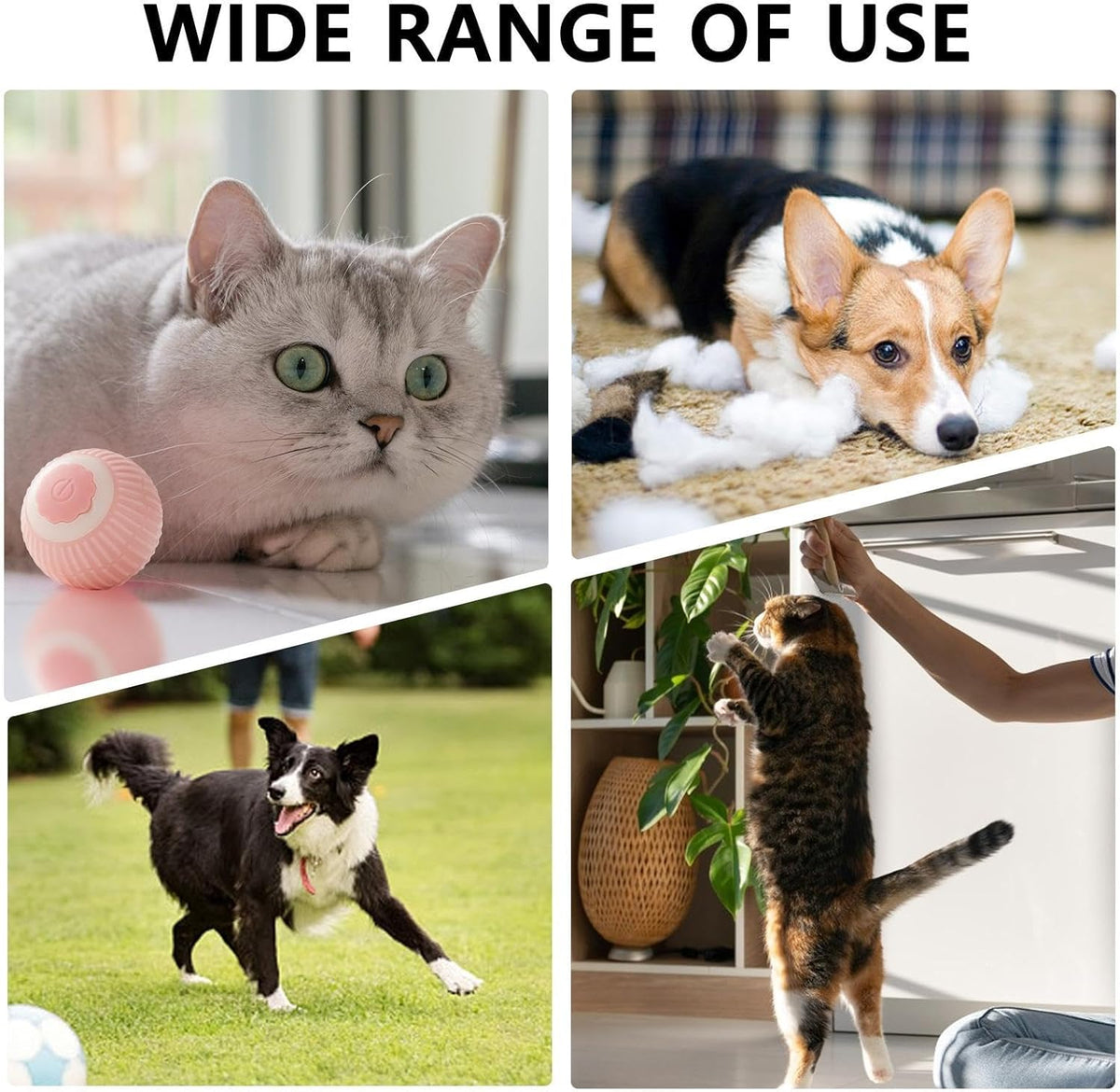 Interactive Rolling Cat Ball with Lights, Touch Activation and Rechargeable Battery – view 7