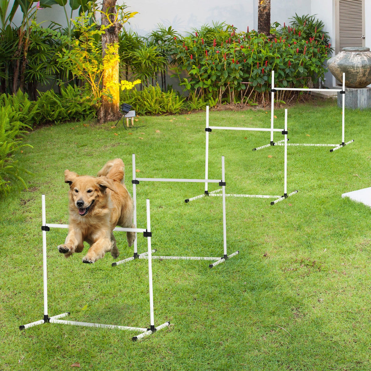 4-Piece Dog Agility Jump Set – Height-Adjustable Hurdle Bars with Carry Bag – White