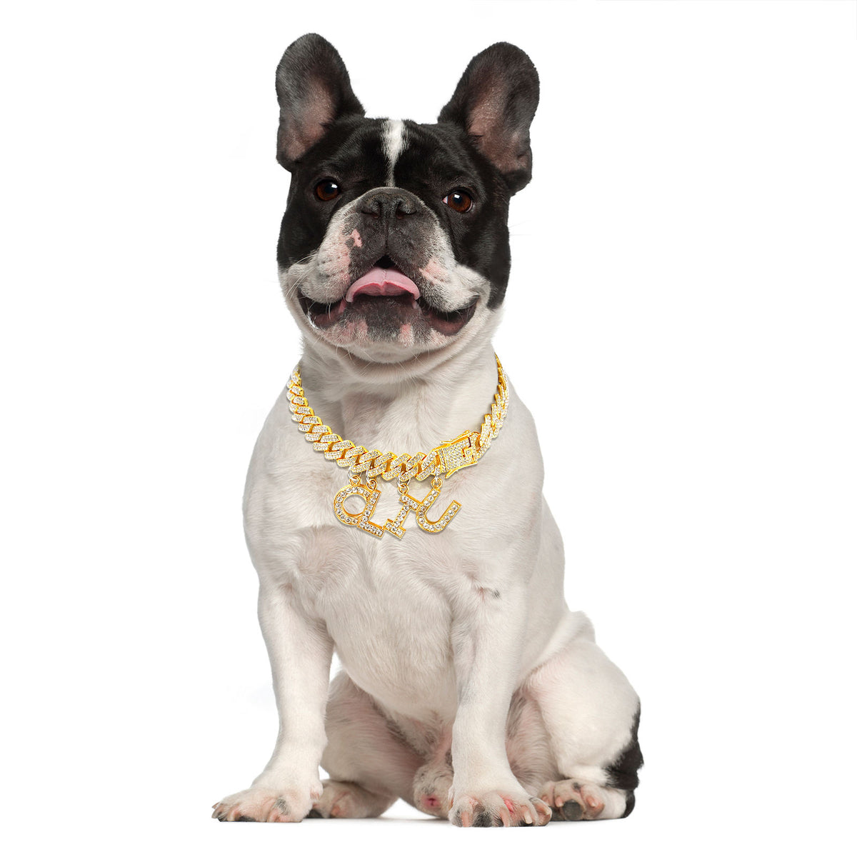 Luxury Metal Alloy Dog Collar – Gold or Silver Walking Collar, 25–50 cm (9.8–19.7 in) – view 2