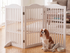 Freestanding Wooden Dog Gate – 3-Panel Foldable Step-Over Pet Fence, No Assembly, 30 in, White