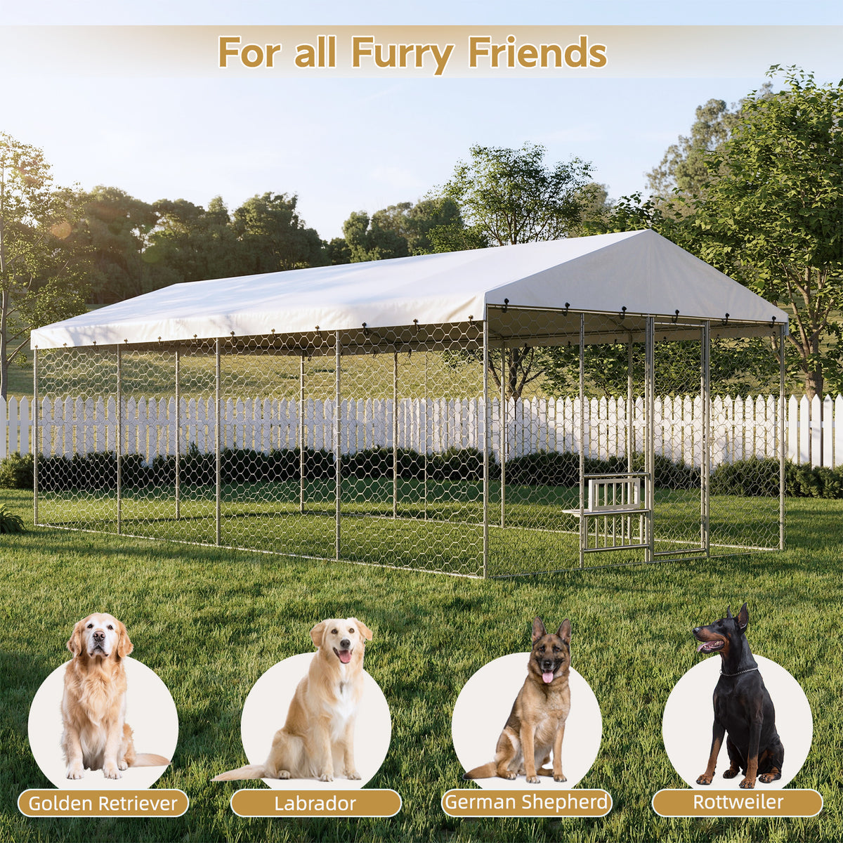 Large Outdoor Dog Kennel with Canopy – 20x10 Ft, Galvanized Steel, Elevated Feeding Bowls, Silver – view 6