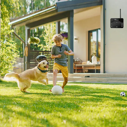 Wireless Electric Dog Fence with Training Collar – 850 ft Range, Rechargeable, IPX6 – view 2