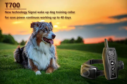 650 Yard Remote Dog Training Collar – Beep, 8-Level Vibration &amp; Static, IPX7 Waterproof – view 3