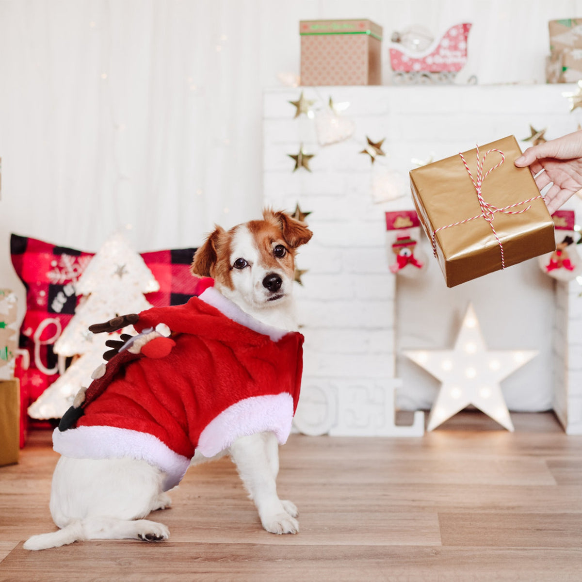 Santa Claus Christmas Pet Costume with 3D Reindeer Antlers for Small Dogs &amp; Cats, Red – view 8