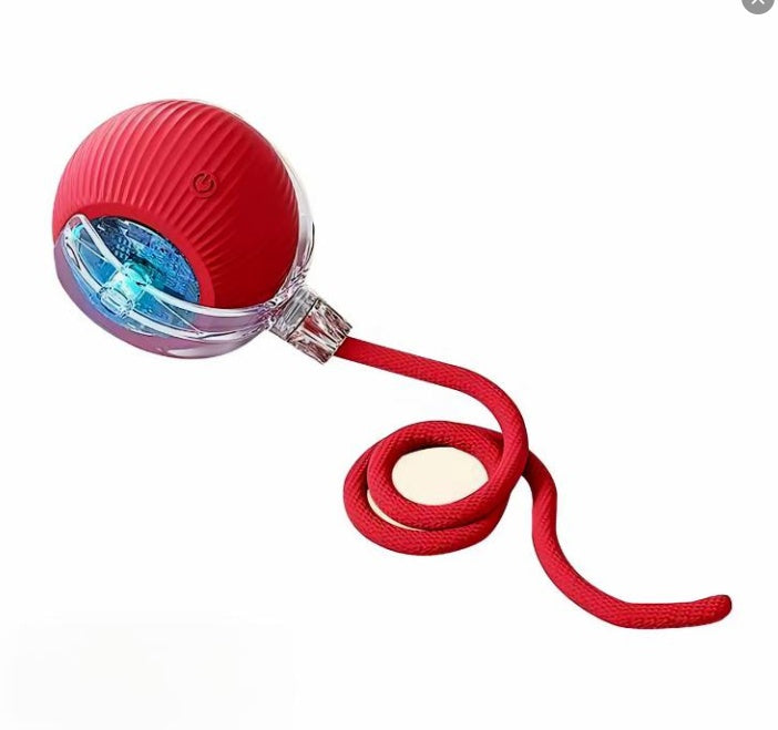 Rechargeable Rolling Pet Toy with Rope Tail for Indoor Cats and Gentle Dogs