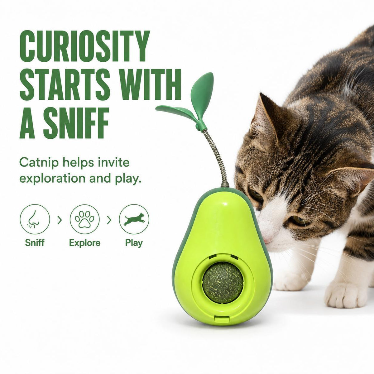 Avocado-Shaped Cat Tumbler Toy with Spring Feather Teaser and Removable Catnip Ball – view 9