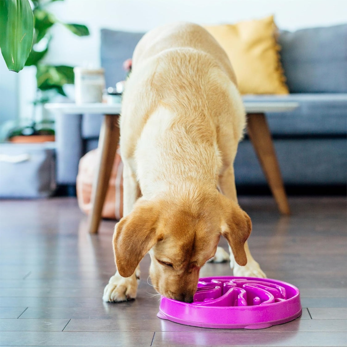 Large Slow Feeder Dog Bowl – 4 Cup Maze Puzzle Design, Non-Slip, Purple Flower Pattern – view 7