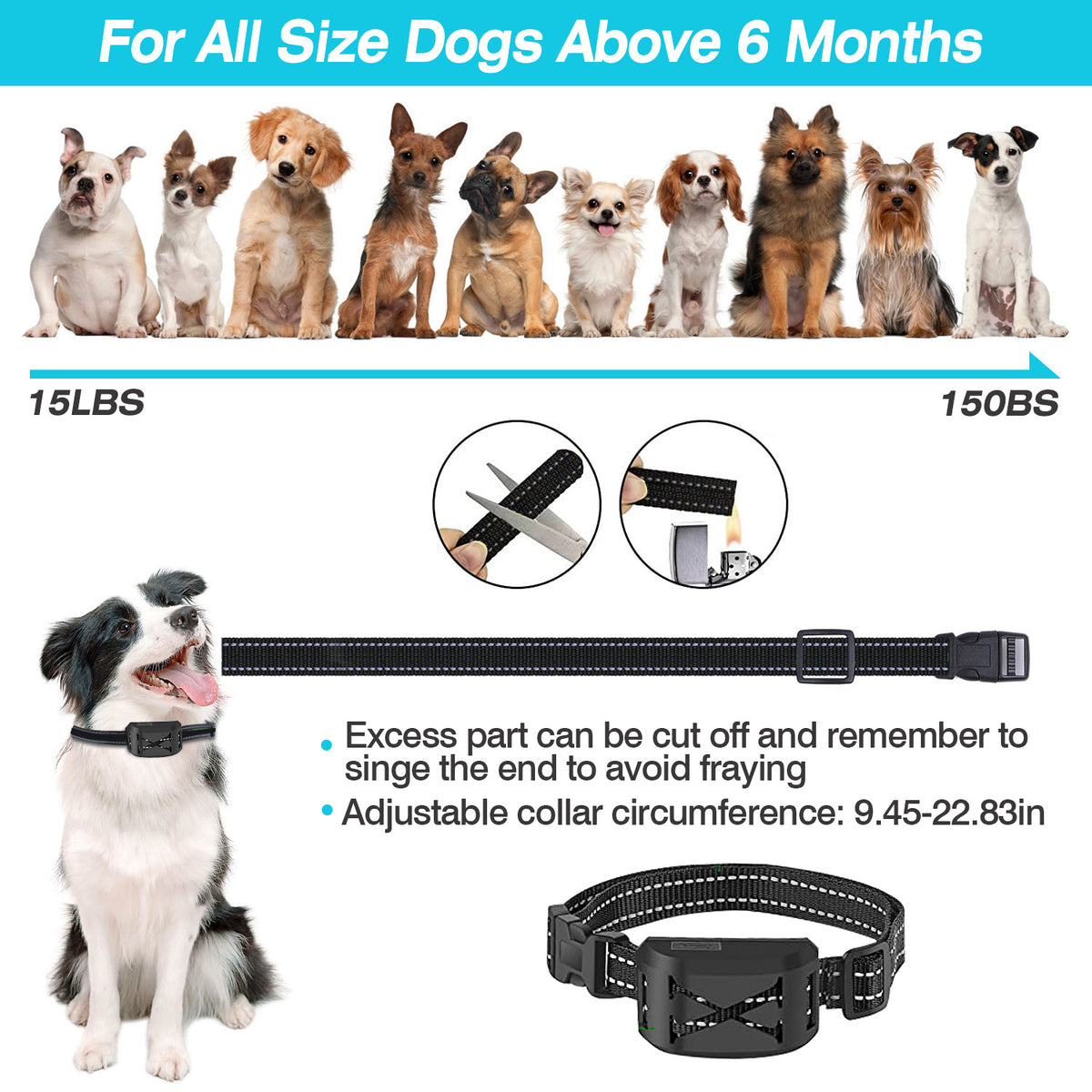 2-in-1 Wireless Dog Fence &amp; Training Collar – 20–850 ft, IPX6, 1 or 2 Collars – view 10