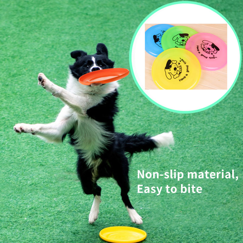 Dog Flying Disc 7.9 in – Lightweight Fetch Disc for Outdoor Play and Training, Random Color – view 2