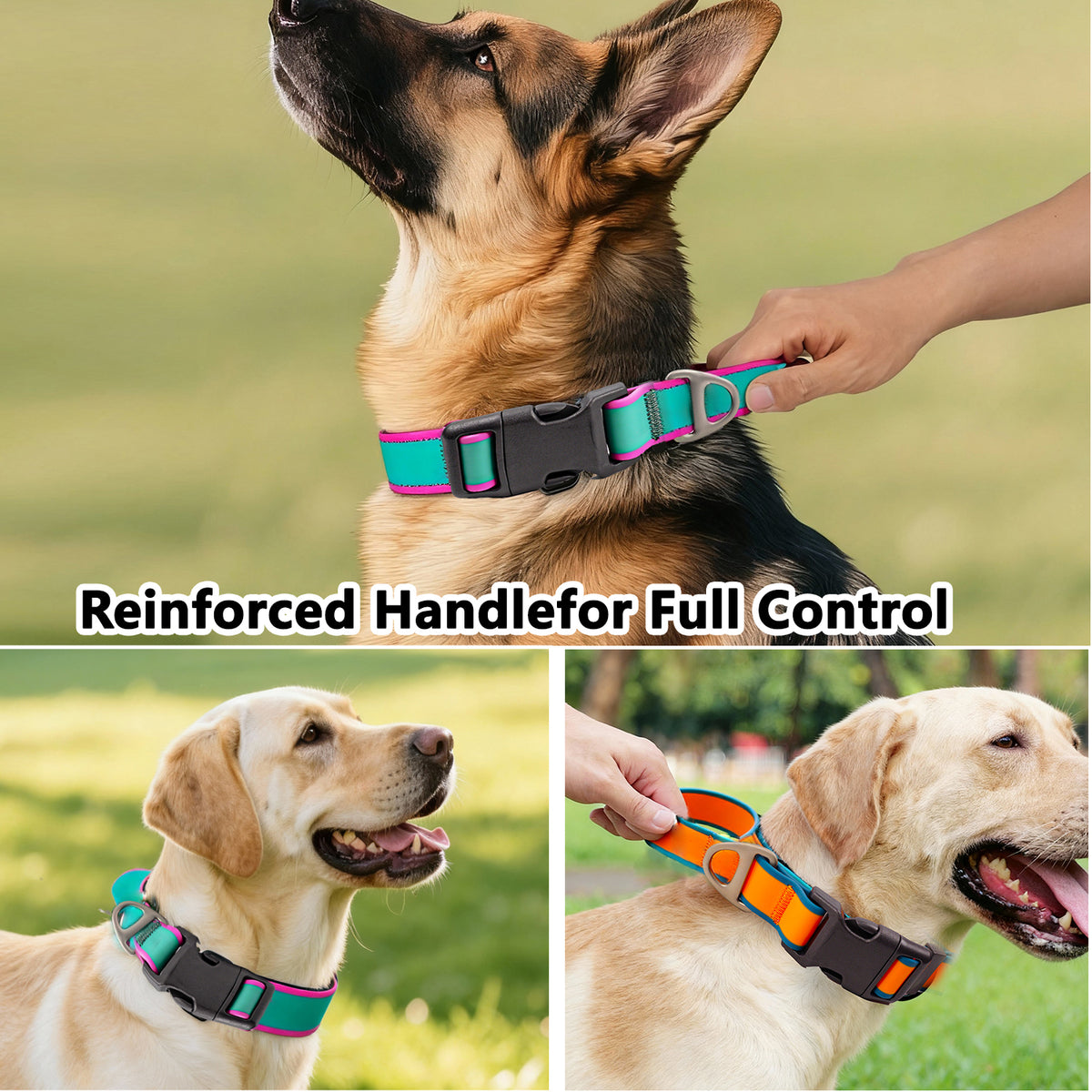 Tactical Dog Collar for Working Dogs – Waterproof, Wear-Resistant, Green, Purple or Orange, 3 Sizes