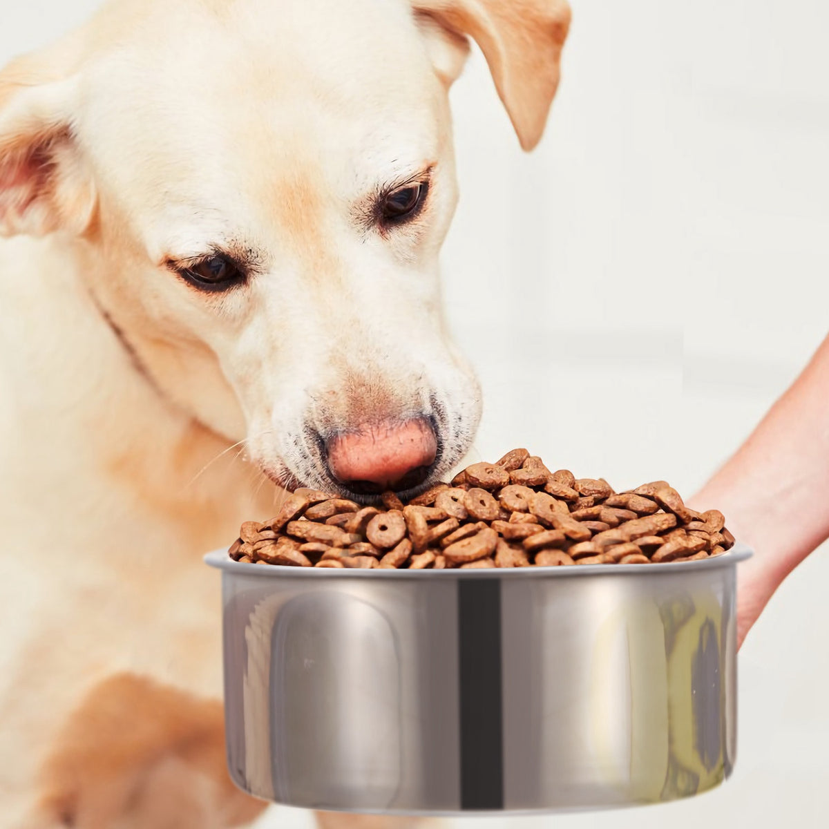 Stainless Steel Crate Dog Bowl with Clamp Holder, Hanging Cage Food and Water Bowl, Medium – view 10