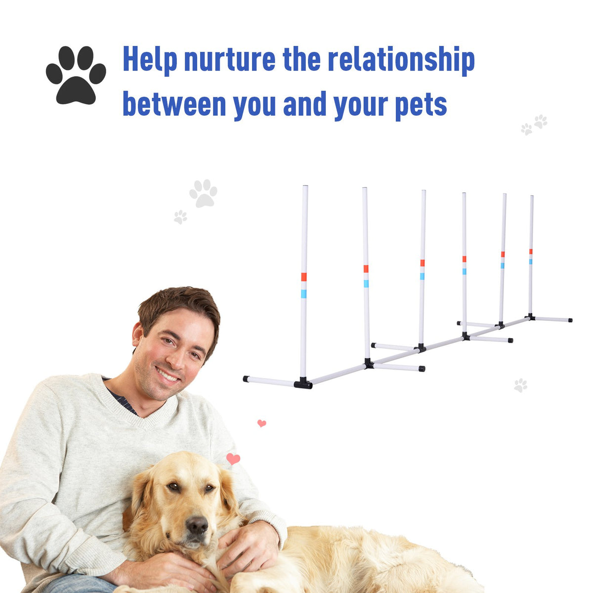 Dog Agility Weave Poles – 6-Pole Set, 129 in Course with Storage Bag, White – view 5