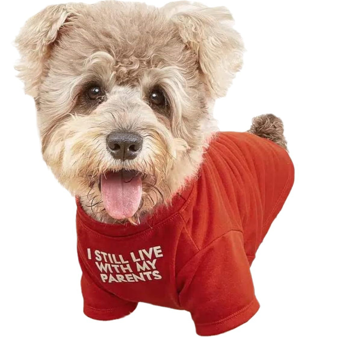 Round Neck Polyester Dog T-Shirt, Basic Pet Tee in Red, Blue, Black or Khaki – view 4