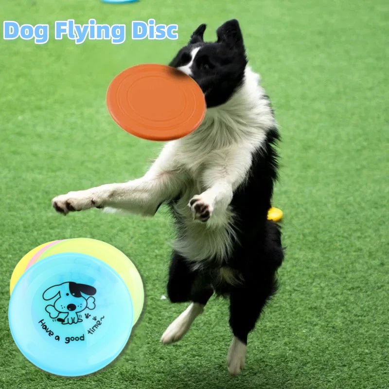 Dog Flying Disc 7.9 in – Lightweight Fetch Disc for Outdoor Play and Training, Random Color