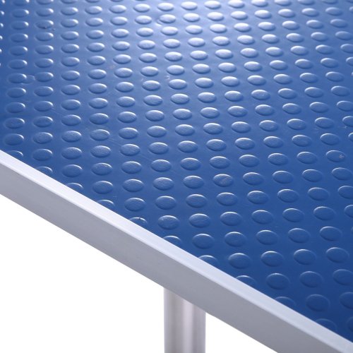 42-Inch Dog &amp; Cat Grooming Table – Stainless Steel Legs, Adjustable Arm &amp; Storage Basket, Blue – view 3