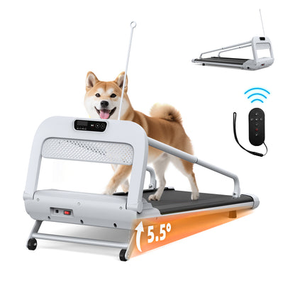 Quiet Dog Treadmill for Small &amp; Medium Dogs – 41 x 16 in Belt, 0.5–6 mph, Foldable