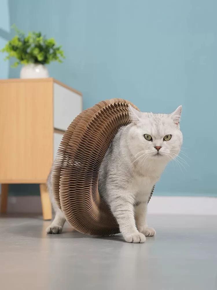 Accordion Cardboard Cat Scratcher – Foldable Wood Grain Scratching Toy for Indoor Cats – view 10