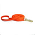 Long Dog Training Leash – Waterproof Embossed PVC Recall Lead, 10, 20, 30 & 40 ft, Orange, Blue or Navy – view 6