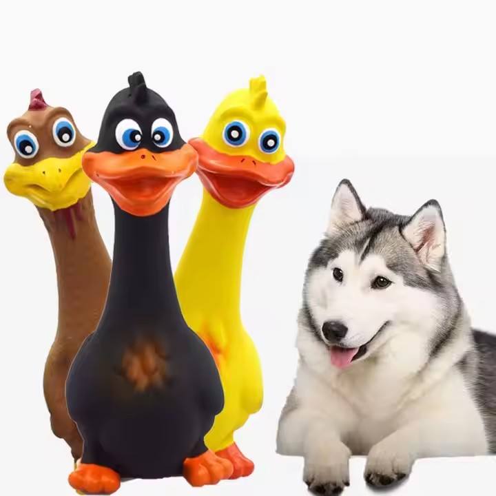 Latex Screaming Chicken Squeaky Dog Toys 3-Pack for Interactive Play