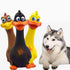 Latex Screaming Chicken Squeaky Dog Toys 3-Pack for Interactive Play