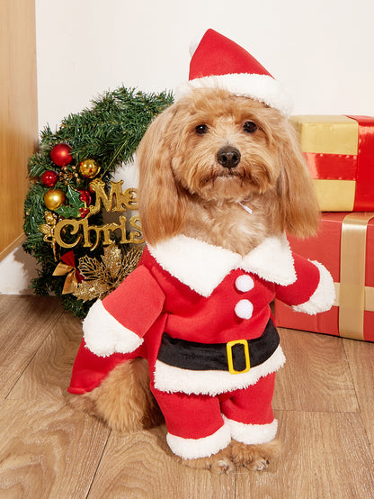 Red Christmas Dog Costume – Festive Holiday Outfit for Small Dogs