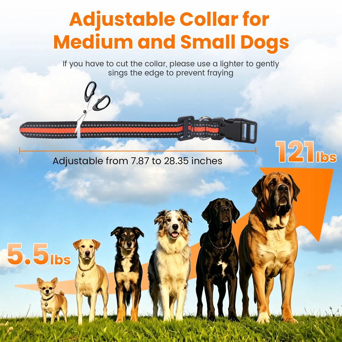 Remote Dog Training Collar – 875 Yard Range, 4 Modes, IP68 Waterproof, 1 or 2 Collars – view 8
