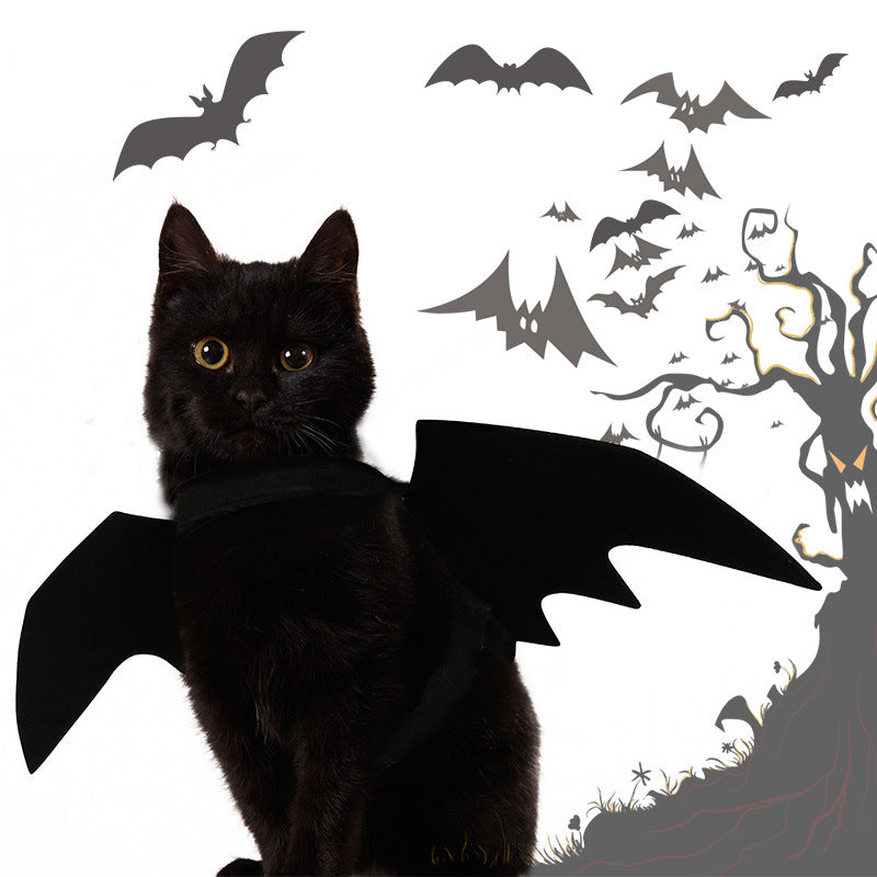 Halloween Bat Wings &amp; Spider Costume for Cats &amp; Dogs