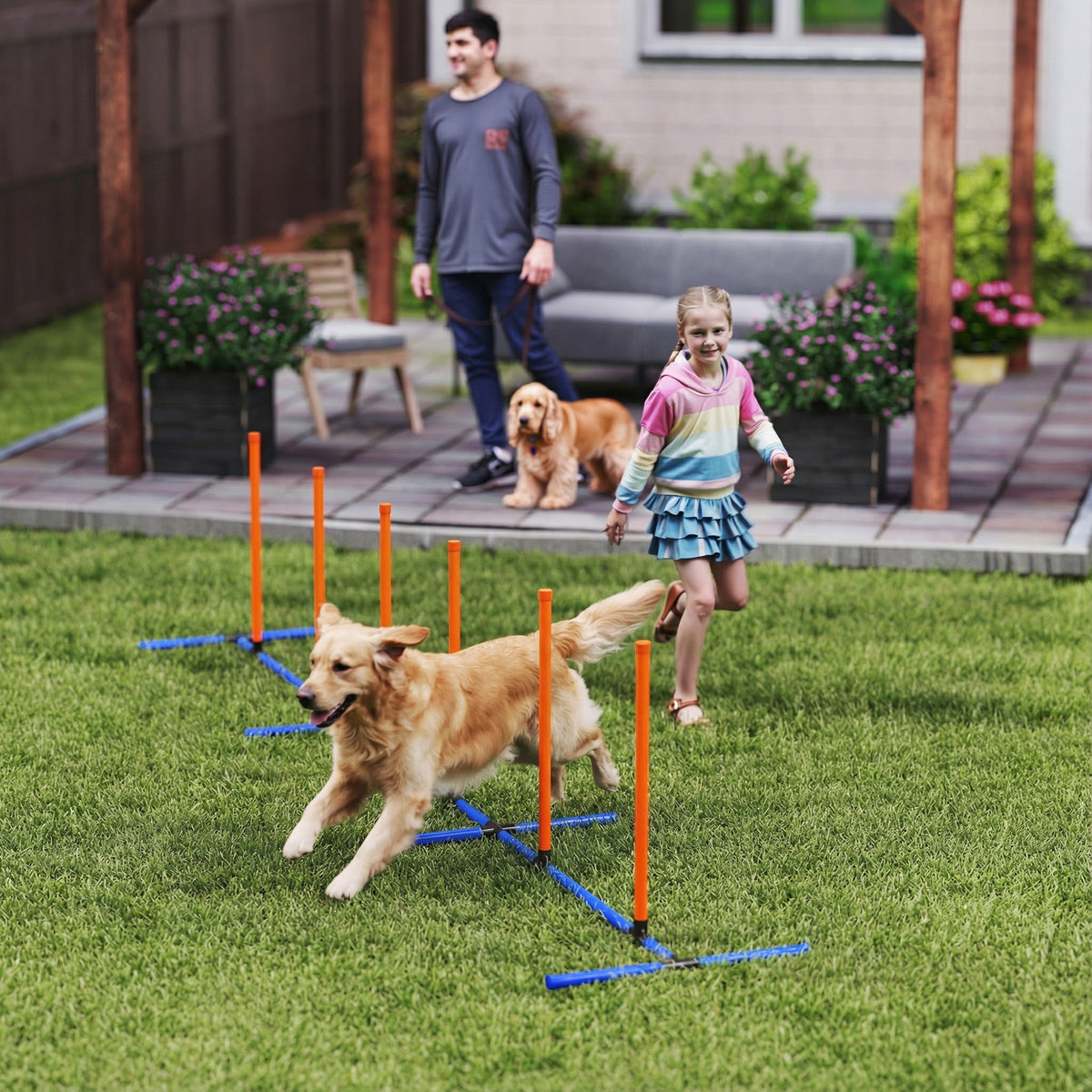 Adjustable Dog Agility Weave Poles with Freestanding Base, Ground Stakes and Carry Bag, Orange – view 2