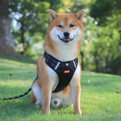No-Pull Reflective Dog Harness – Breathable Mesh Vest – view 9