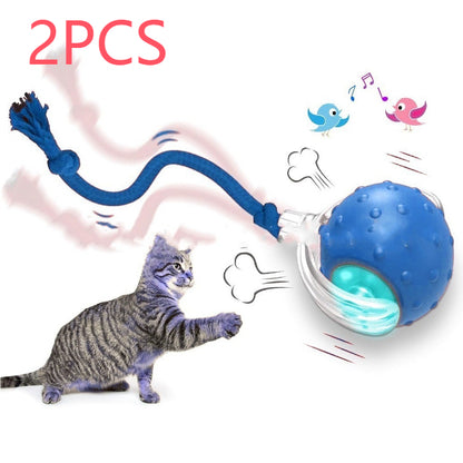Self-Driving Rolling Ball Cat Toy – 3 Modes, Bird Chirp Sound, Tail &amp; Rope Attachments – view 20