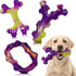Nylon Bone Dog Chew Toys 3-Pack, Bacon Flavored for Medium & Large Dogs, Purple